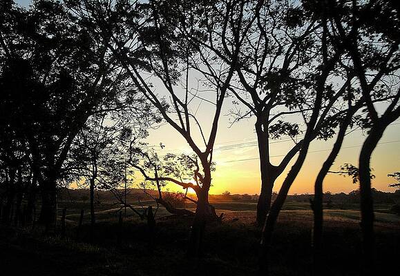 Prairie by David Felipe Pulido