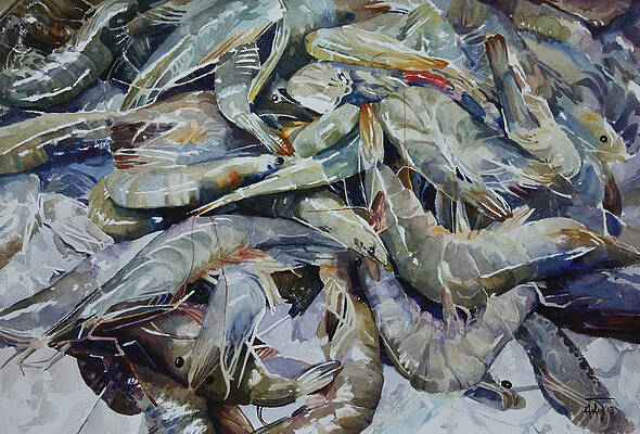 Prawn by HELAL UDDIN Prawn by HELAL UDDIN