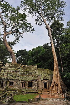 Wall Art - Photograph - Preah KhanTemple at Angkor Wat by Sami Sarkis Photography