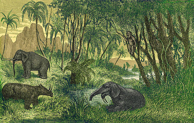 Wall Art - Photograph - Prehistoric, Miocene Landscape by Science Source