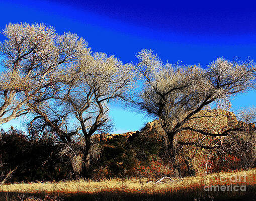 Prescott Bright by Larry Oskin Prescott Bright by Larry Oskin