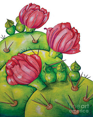 Prickly Pear Bloom by Kandyce Waltensperger Prickly Pear Bloom by Kandyce Waltensperger