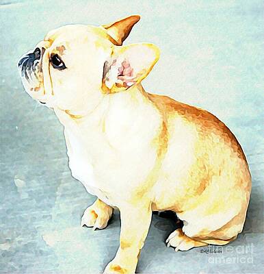 Wall Art - Painting - Profile in Frenchie by Barbara Chichester