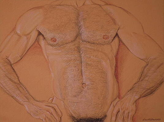 Proud Torso by David W Haskins