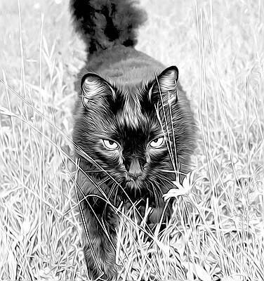 Prowl by Meghan OHare Prowl by Meghan OHare