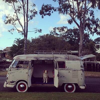 Wall Art - Photograph - Put A New Security System In The Bus by Glen Bryden