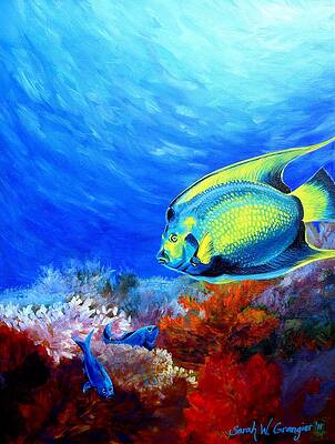 Queen Angelfish and Damsels by Sarah Grangier Queen Angelfish and Damsels by Sarah Grangier