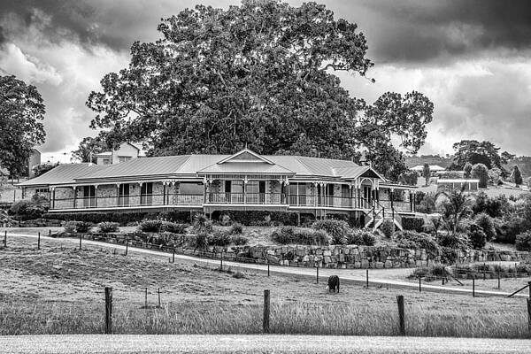 Queenslander by Peter Lombard Queenslander by Peter Lombard