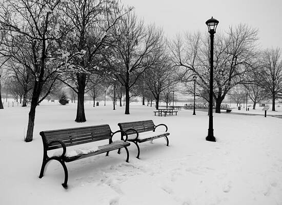 Quiet Beauty by Darylene Iacovetto