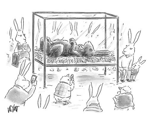 Wall Art - Drawing - Rabbits And Chicks Looking At Display Of Choclate by Christopher Weyant