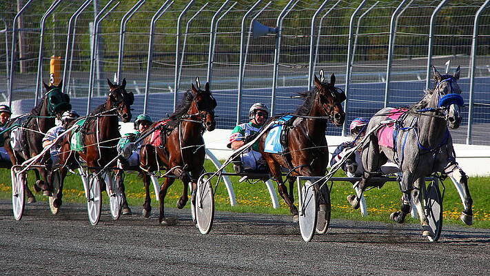 Race to the Finish by Davandra Cribbie Race to the Finish by Davandra Cribbie