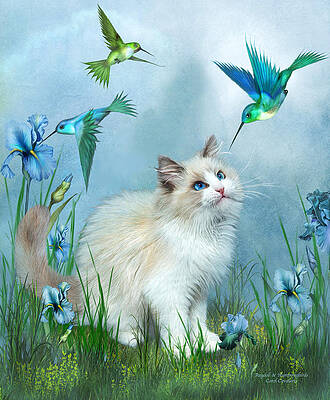 Wall Art - Mixed Media - Ragdoll Kitty And Hummingbirds by Carol Cavalaris