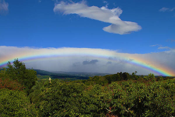 Rainbow 1 by James Knight Rainbow 1 by James Knight