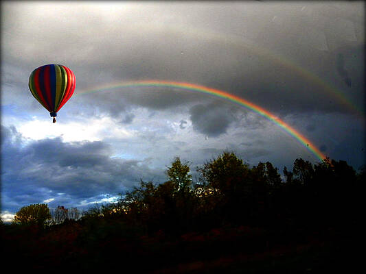 Rainbow Connection by Steven Schroll