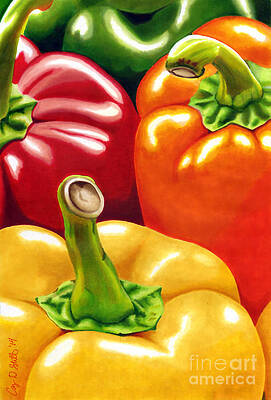Rainbow of Peppers by Cory Still Rainbow of Peppers by Cory Still