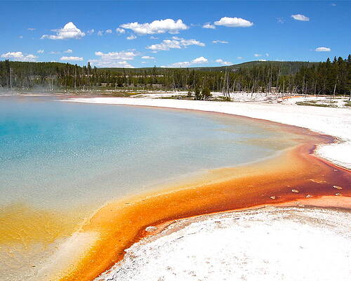 Rainbow spring by John Wunderli