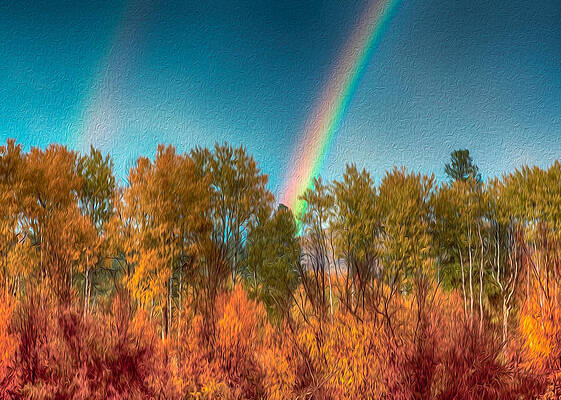 Wall Art - Photograph - Rainbow Surprise by Omaste Witkowski