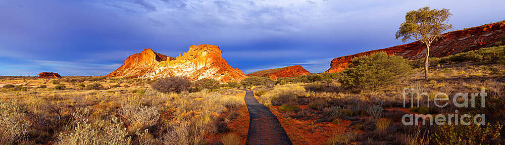 Wall Art - Photograph - Rainbow Valley Central Australia by Bill  Robinson