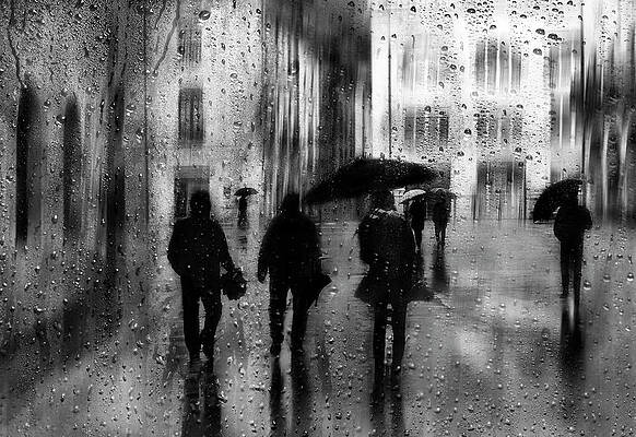 Wall Art - Photograph - Rainy Days by Fran Osuna
