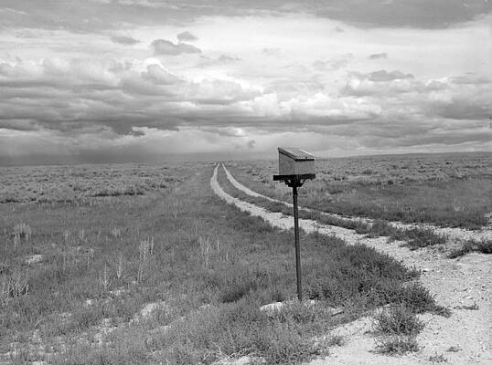 Wall Art - Photograph - Ranch Mailbox, 1941 by Science Source