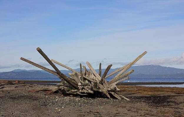 Rathtrevor Beach by Gerry Bates Rathtrevor Beach by Gerry Bates