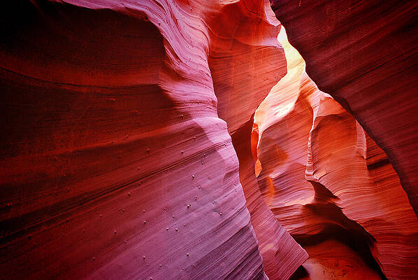 Wall Art - Photograph - Rattlesnake Canyon - Arizona by Gregory Ballos