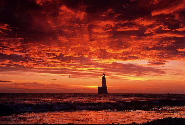 Wall Art - Photograph - Rattray Head Lighthouse by Science Photo Library