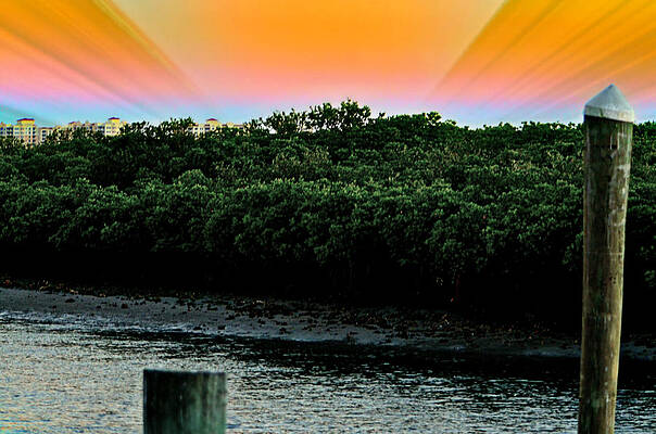 Wall Art - Photograph - Rays of Days by Ally  White