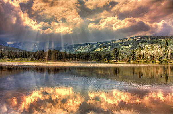 Rays of Sunlight by Brent Durken Rays of Sunlight by Brent Durken