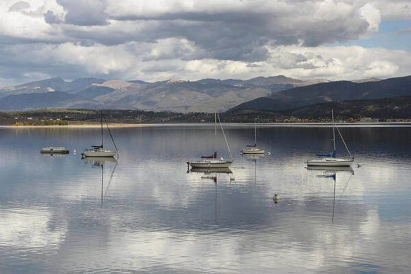 Wall Art - Photograph - Ready for Another Day by Theo OConnor
