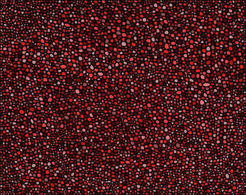 Red and Black Circles by Janice Dunbar Red and Black Circles by Janice Dunbar