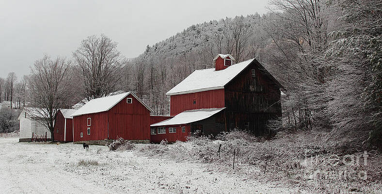 Red Barns in Winter by Christopher Jones