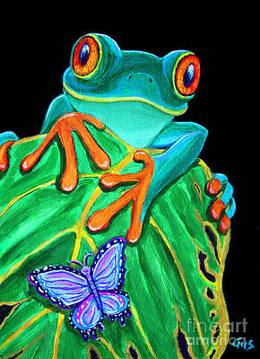 Red-eyed tree frog and butterfly by Nick Gustafson Red-eyed tree frog and butterfly by Nick Gustafson