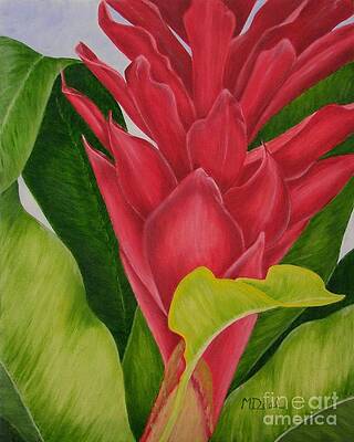 Red Ginger by Mary Deal Red Ginger by Mary Deal