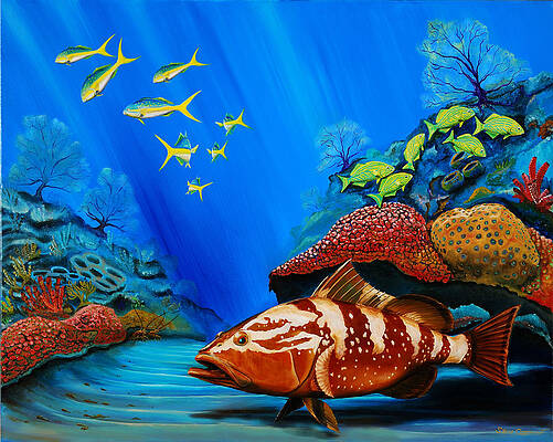 Red Grouper by Steve Ozment Red Grouper by Steve Ozment