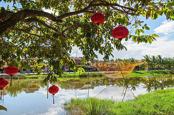 Wall Art - Photograph - Red Lanterns Hanging In A Tree In Hoi An by Henn Photography