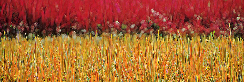 Red on Yellow by Joe Sampouw