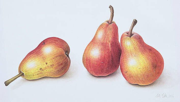 Wall Art - Painting - Red Pears by Margaret Ann Eden