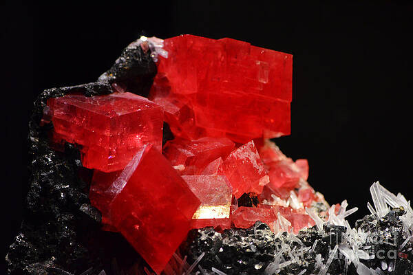 Wall Art - Photograph - Red Rhodochrosite Crystal Macro by Shawn O'Brien