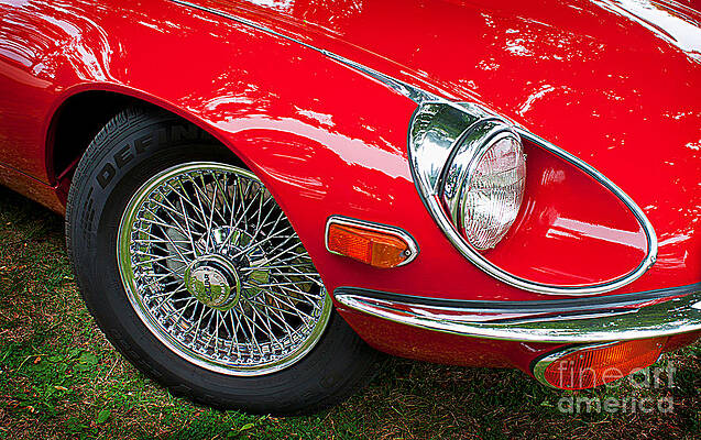 Red Riding Hood by Nick Solovey Red Riding Hood by Nick Solovey