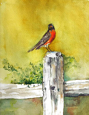 Red Robin on the Fencepost by Maureen Moore Red Robin on the Fencepost by Maureen Moore