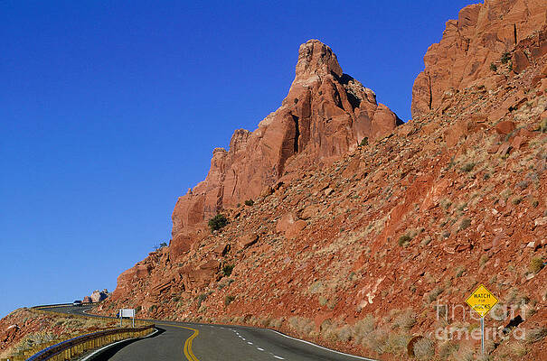 Wall Art - Photograph - Red Rocks Lining A Road. Utah by Adam Sylvester