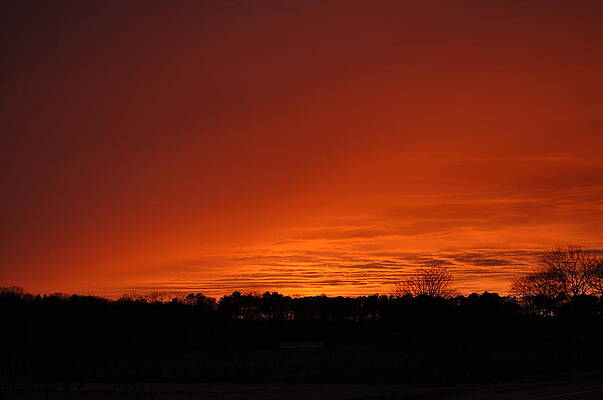 Red Sky by Steve Rhoades