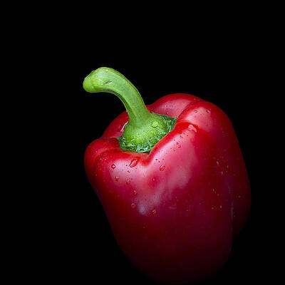 Red Sweet Pepper Square by Mark McKinney Red Sweet Pepper Square by Mark McKinney