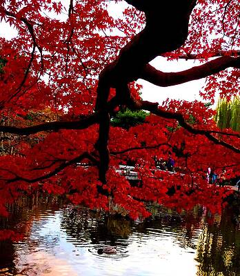Red Tree by Julia Ivanovna Willhite Red Tree by Julia Ivanovna Willhite