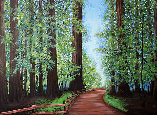 Redwood Forest Path by Penny Birch-Williams Redwood Forest Path by Penny Birch-Williams
