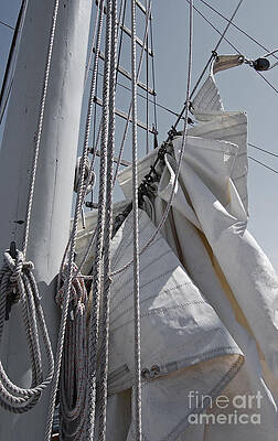 Wall Art - Photograph - Reefing The Mainsail by Jani Freimann
