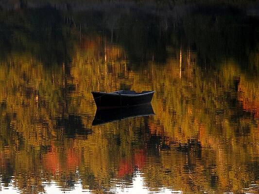 Reflecting Autumn by Donnie Freeman Reflecting Autumn by Donnie Freeman