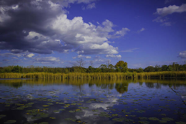 Reflecting Pond by Jeremy Perlman