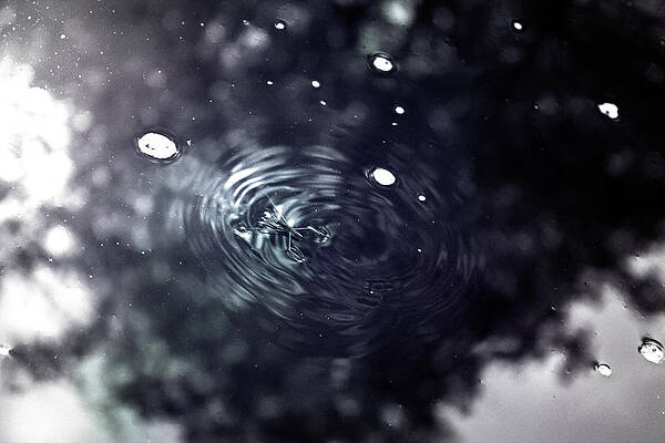 Reflection Bug by Mikkel Skov